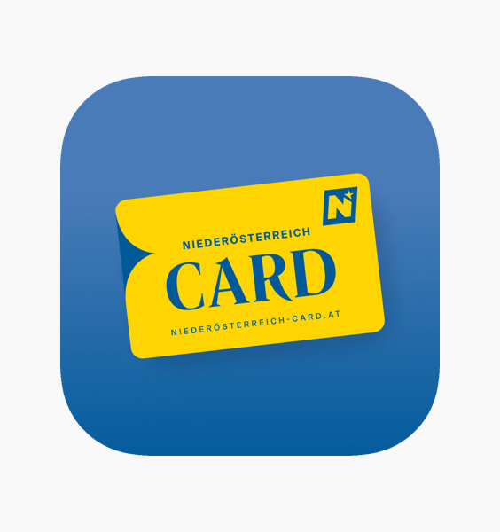 Logo Partner